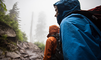 img_esd3_en-gb Img Esd3 En Gb